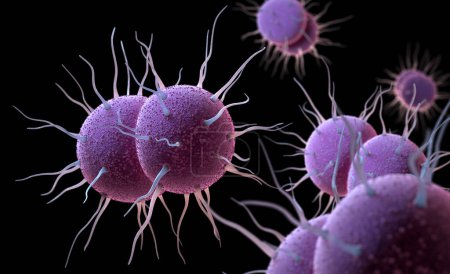 Neisseria gonorrhoeae, la bacteria responsable de la infección de transmisión sexual Gonorrea. Ilustración 3D
