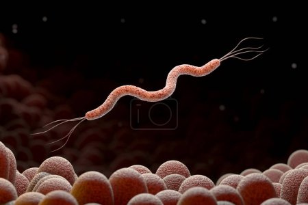 Téléchargez les photos : La bactérie Spirillum est la cause d'ulcères d'estomac ou de diarrhée bactérienne, Infection bactérienne, Illustration 3D - en image libre de droit