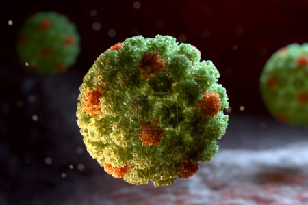 Foto de El virus del papiloma humano (VPH) es un virus del ADN de la familia del virus del papiloma. Ilustración 3D - Imagen libre de derechos