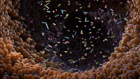 Téléchargez les photos : Bactéries intestinales. Microbiome. Le microbiome intestinal aide à contrôler la digestion intestinale et le système immunitaire. Les probiotiques sont des bactéries bénéfiques utilisées pour favoriser la croissance d'une flore intestinale saine. Illustration 3d. - en image libre de droit