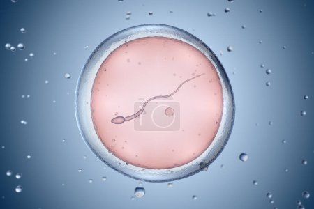 Inseminación artificial o fertilización in vitro. Ilustración 3D
