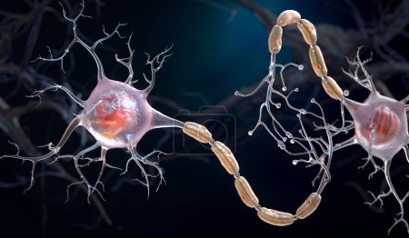 Foto de Neuronas también conocidas como neuronas o células nerviosas. Las neuronas transmiten información entre diferentes partes del cerebro y entre el cerebro y el resto del sistema nervioso. ilustración 3d - Imagen libre de derechos