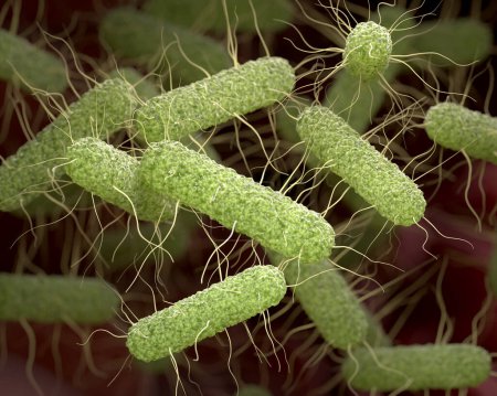 Foto de Fondo patogénico de la bacteria Salmonella. ilustración 3d - Imagen libre de derechos