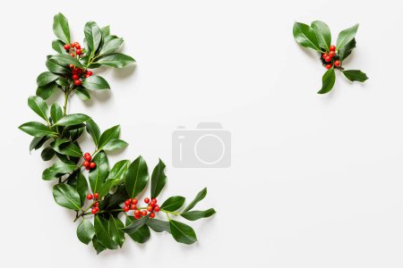 Foto de Hojas de acebo con bayas rojas sobre fondo blanco. Invierno decoración natural. - Imagen libre de derechos