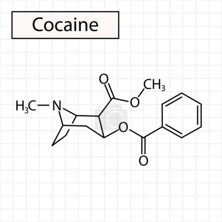 Illustration for Cocaine structure, chemistry, vector illustration - Royalty Free Image