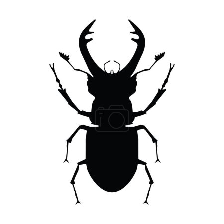 Téléchargez les illustrations : Silhouette de scarabée cerf, illustration vectorielle - en licence libre de droit