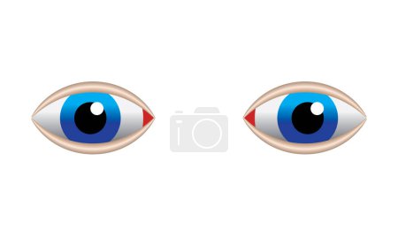 Illustration for Eyes icon, colorful, vector illustration - Royalty Free Image