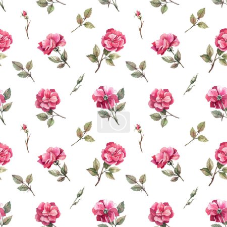 Romantisches, florales Muster mit Rosen auf weißem Hintergrund. Rosen, Rosenblüten, die durch einen sanften, blumigen Hintergrund blättern. Florale Textur für Stoffe, Textilien, Tapeten.