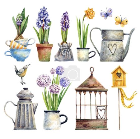 Collection of isolated watercolor elements on a spring garden theme. Vintage bird cage, daffodil and geocinth flowers, butterflies, watering cans and cups.
