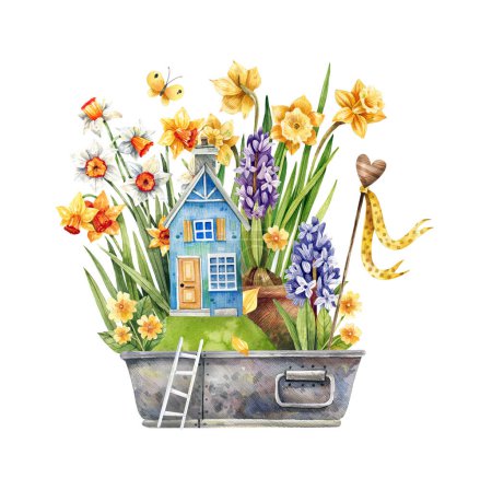 Watercolor illustration with a vintage garden box full of daffodils, hyacinths and spring greenery with an old farmhouse. Isolated on a white background. Spring flowers