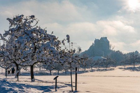 Photo for Snowy and beautiful winter landscape in Waldburg in Upper Swabia. View to the snow-covered castle - Royalty Free Image