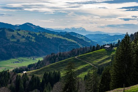 Téléchargez les photos : Randonnée printanière sur le Thaler et le Salmaser Hoehe à Immenstadt avec vue sur l'Alpsee dans les belles Alpes Allgau - en image libre de droit