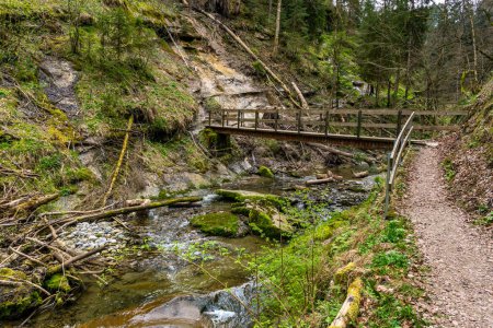 Téléchargez les photos : Charmante randonnée au printemps à travers les Hausbachklamm près de Weiler im Allgau - en image libre de droit