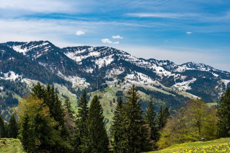 Schöner Rundwanderweg auf den Denneberg an der Nagelfluhkette im Allgau bei Oberstaufen Steibis