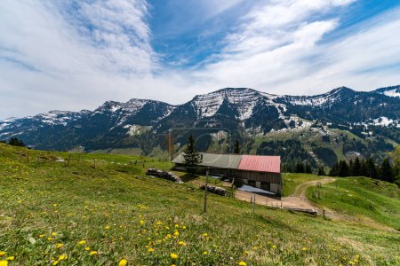 Beautiful panoramic circular hiking trail to the Denneberg at the Nagelfluhkette in the Allgau near Oberstaufen Steibis