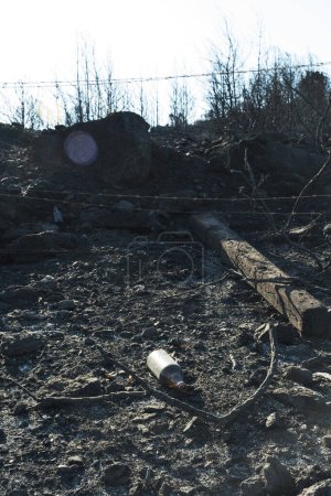 Foto de Primer plano de una botella de cerveza después de un incendio forestal en las cenizas. - Imagen libre de derechos