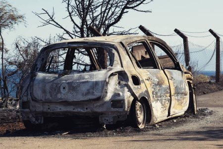 Foto de Izmir, Turquía - 23 de julio de 2022: Vista trasera del automóvil quemado después del incendio forestal en el sitio de Derya Seferihisar Izmir Turquía. - Imagen libre de derechos