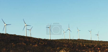 Photo for Windmills on a blue sky with sadly burnt trees at Cesme Karakoy. - Royalty Free Image
