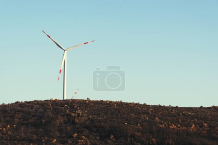 Photo for Windmill on a blue sky with sadly burnt trees at Cesme Karakoy. - Royalty Free Image