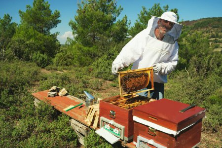 Téléchargez les photos : Portrait d'un apiculteur turc posant avec un cadre en nid d'abeille et costume. - en image libre de droit