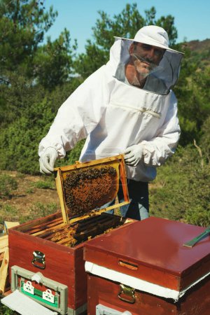 Téléchargez les photos : Portrait d'un apiculteur turc posant avec un cadre en nid d'abeille et costume. - en image libre de droit