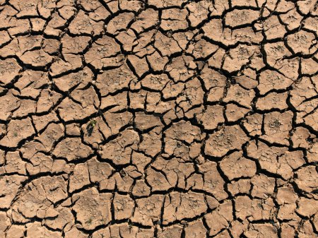 Foto de Primer plano de sequía, suelo seco fotografiado desde la vista superior. - Imagen libre de derechos