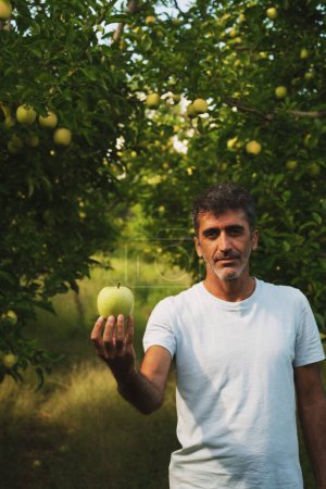 Téléchargez les photos : Portrait d'un Moyen-Orient tenant une pomme dans sa main et posant dans un verger de pommes - en image libre de droit