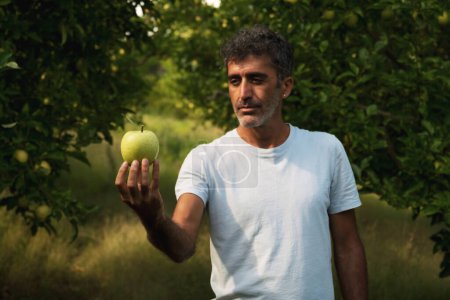Téléchargez les photos : Portrait d'un Moyen-Orient tenant une pomme dans sa main et posant dans un verger de pommes - en image libre de droit