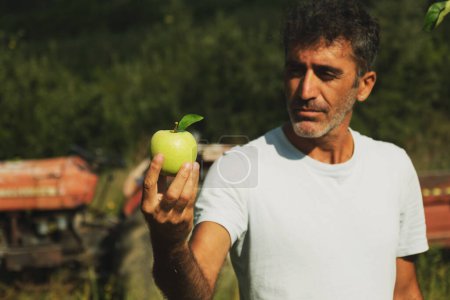 Téléchargez les photos : Portrait d'un Moyen-Orient tenant une pomme dans sa main et posant dans un verger de pommes avec un tracteur sur le fond. - en image libre de droit