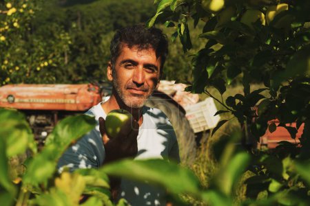 Foto de Retrato de un oriente medio sosteniendo una manzana en su mano y posando en un huerto de manzanas con un tractor en el fondo. - Imagen libre de derechos