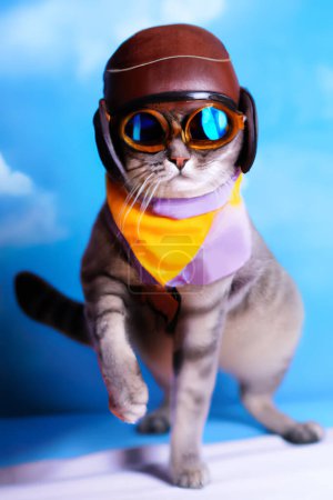Foto de Ilustración de un gato con un traje de piloto. Creado a través del software de IA dall-e - Imagen libre de derechos