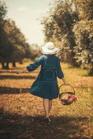 Téléchargez les photos : Une femme enceinte vêtue d'une robe bleue et d'un chapeau blanc se promène dans un champ d'oliviers. Portant un panier complet de fleurs sèches, le dos tourné vers le spectateur, La faible profondeur de champ souligne encore sa figure dans le contexte de la o - en image libre de droit