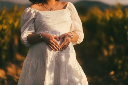 Téléchargez les photos : Plan rapproché d'une femme enceinte vêtue d'une robe blanche en forme de cœur sur le ventre, au milieu d'un vignoble, symbolisant l'amour et la maternité - en image libre de droit