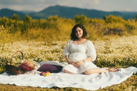 Téléchargez les photos : Sur une couverture de pique-nique blanche ornée d'oreillers, une femme enceinte se relaxe parmi les pommes, un panier de fleurs sèches et des oreillers blancs confortables - en image libre de droit