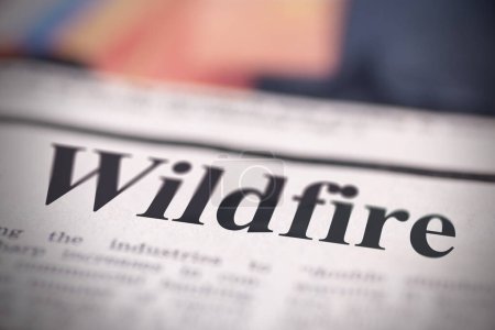 Téléchargez les photos : Une photographie en gros plan mettant en évidence un article de journal discutant d'un récent incendie de forêt - en image libre de droit