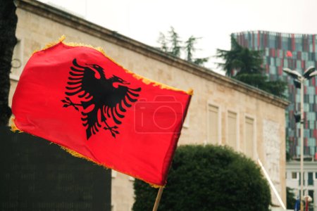 Foto de Tirana, Albania - 28 de noviembre de 2023: En la Avenida de los Mártires de la Nación, los espectadores observan con entusiasmo las actuaciones del Día de la Independencia bajo la lluvia, sosteniendo banderas albanesas, con un primer plano de la bandera en la foto. - Imagen libre de derechos
