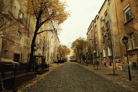 Photo for Belgrade, Serbia - December 2, 2023: A daytime photo of Skadarlija neighborhood in Belgrade, Serbia, featuring scattered yellow leaves on the ground, capturing the essence of autumn in the city - Royalty Free Image