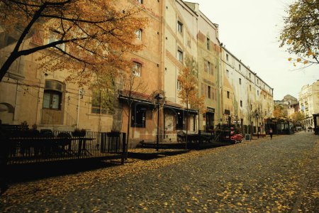 Foto de Belgrado, Serbia - 2 de diciembre de 2023: Una foto diurna del barrio de Skadarlija en Belgrado, Serbia, con hojas amarillas dispersas en el suelo, capturando la esencia del otoño en la ciudad - Imagen libre de derechos
