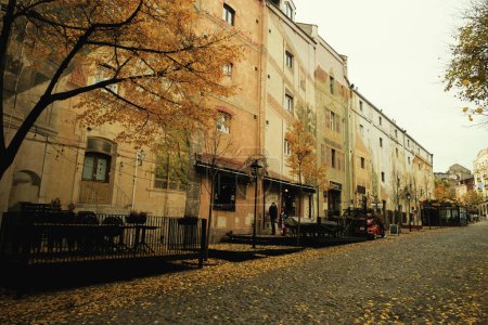 Téléchargez les photos : Belgrade, Serbie - 2 décembre 2023 : Une photo diurne du quartier de Skadarlija à Belgrade, en Serbie, montrant des feuilles jaunes éparses sur le sol, capturant l'essence de l'automne dans la ville - en image libre de droit
