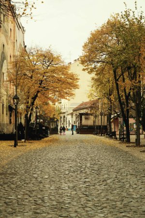 Photo for Belgrade, Serbia - December 2, 2023: A daytime photo of Skadarlija neighborhood in Belgrade, Serbia, featuring scattered yellow leaves on the ground, capturing the essence of autumn in the city - Royalty Free Image