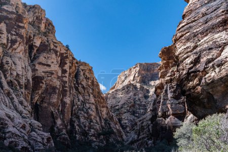 View into the narrow rock walls of Ice Box Canyon. Taken on a blue sky day in Spring - Red Rock Canyon National Conservation Area, Nevada, USA