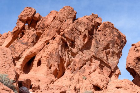 Famous Elephant Rock, a beautiful Navajo red sandstone rock formation carved by the elements - Valley of Fire State Park, Nevada, USA