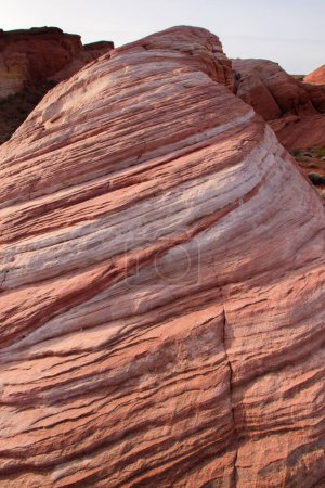 Close up on a section of the striped Fire Wave rock strata which forms pink patterned waves in the landscape - Valley of Fire State Park, Nevada, USA