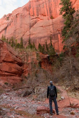Male hiker standing in awe of the towering red rock formations at Kolob Canyons in Zion National Park, Utah. The stunning landscape features impressive cliffs and rocky terrain - USA