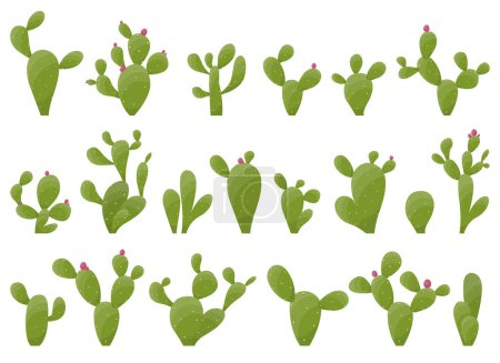 Ilustración de Cartoon desert cactus plants isolated on white. Desert plants vector illustration - Imagen libre de derechos
