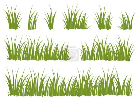 Illustration for Cartoon grass leaves collection vector illustration isolated on white - Royalty Free Image