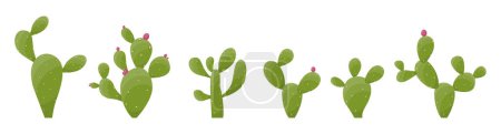 Téléchargez les illustrations : Cartoon plantes de cactus du désert isolé sur blanc. Illustration vectorielle des plantes du désert - en licence libre de droit