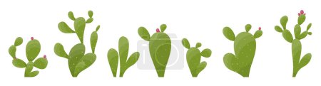 Illustration for Cartoon desert cactus plants isolated on white. Desert plants vector illustration - Royalty Free Image