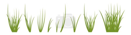 Illustration for Cartoon grass leaves collection vector illustration isolated on white - Royalty Free Image