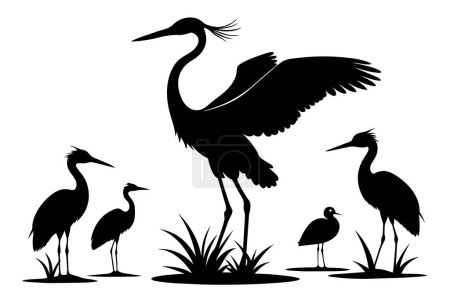 Ilustración de Heron colección silueta vector ilustración - Imagen libre de derechos